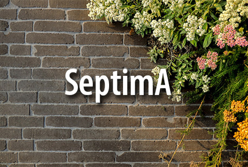 SeptimA