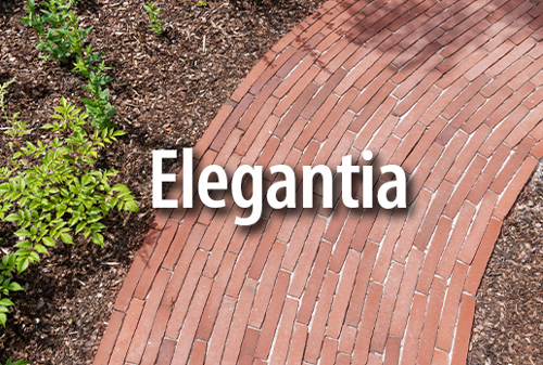 Elegantia